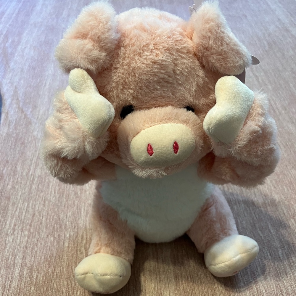 NWT cuteoy peek a boo pig